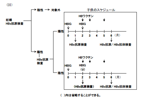 HBV母子感染予防のための基本的なプログラムの概略図