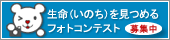 �������݂߂�t�H�g�R���e�X�g