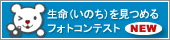 �������݂߂�t�H�g�R���e�X�g