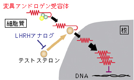 新しい医学の進歩 日本医学会分科会より 神経変性疾患の病態抑止治療法 日本神経学会