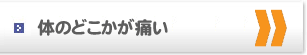 体のどこかが痛い、痛がっている場合への対応方法