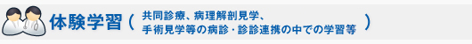 体験学習（共同診療、病理解剖見学、症例検討、
手術見学等の病診・診診連携の中での学習）