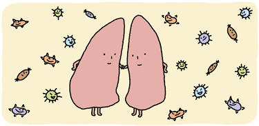 肺と細菌やウイルス