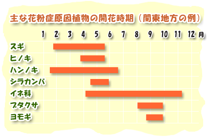 健康の森 花粉症