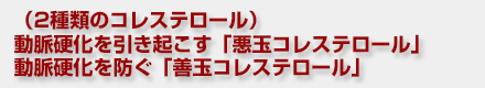 (HDLコレステロール)動脈硬化を防ぐ「善玉コレステロール」