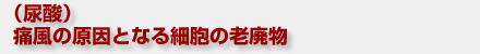 (尿酸)痛風の原因となる細胞の老廃物