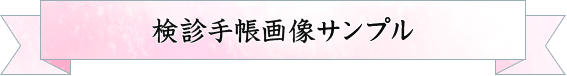 検診手帳画像サンプル