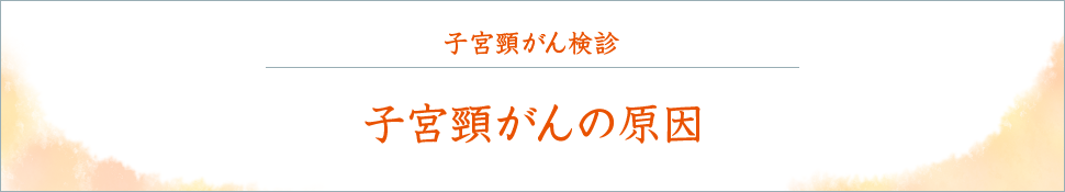 子宮頸がん検診 子宮頸がんの原因