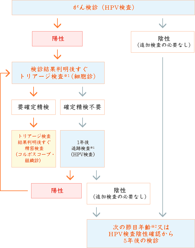 子宮頸がん検診の流れ(HPV検査単独法の場合)