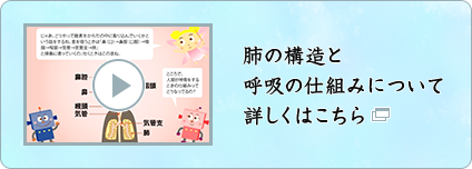 肺の構造と呼吸の仕組みについて詳しくはこちら