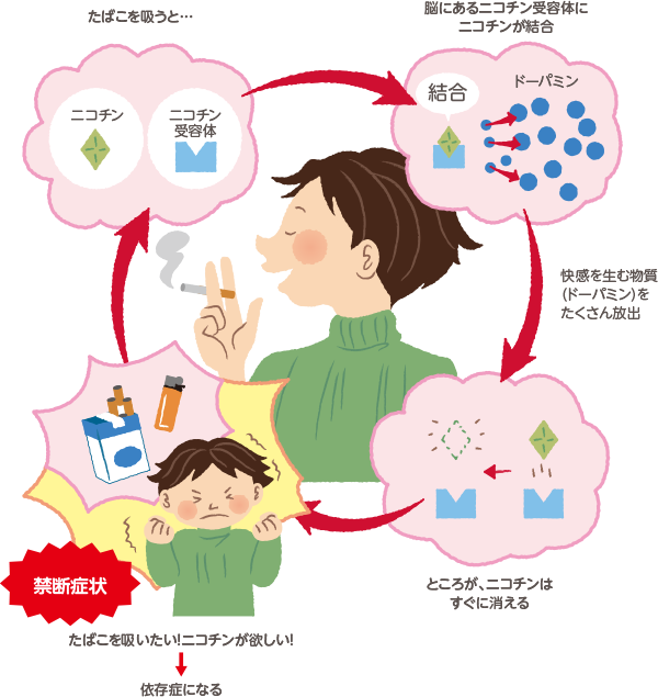 禁煙の医学 禁煙は愛 禁煙推進webサイト