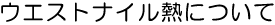 EGXgiCMɂ