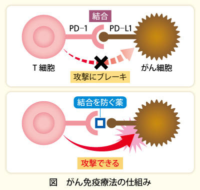 コロナ 本 所 佑 ラジオ欠席の今泉佑唯コロナ感染、濃厚接触者はなし