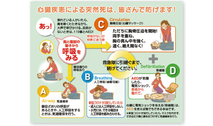 差し上げます　日本医師会作成の「大切ないのちを救う心肺蘇生法CAB＋D」（CABDカード）