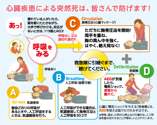 差し上げます/日医作成「大切ないのちを救う心肺蘇生法CAB+D」(CABDカード)(図)