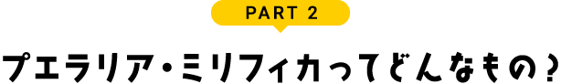 PART 2 プエラリア・ミリフィカってどんなもの？