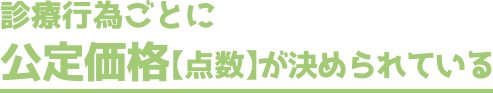 「医療行為ごとに公定価格【点数】が決められている