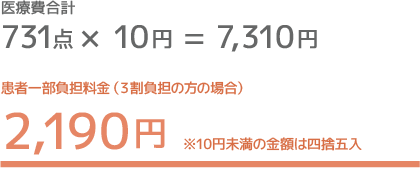 医療費合計 731点 × 10円 = 7,310円 ／ 患者一部負担料金（３割負担の方の場合） 2,190円 ※10円未満の金額は四捨五入