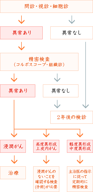 子宮頸がん検診の流れ(細胞診の場合)